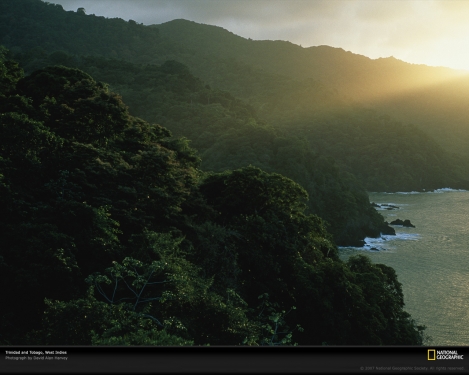trinidad-tobago-coast-92496-xl.jpg