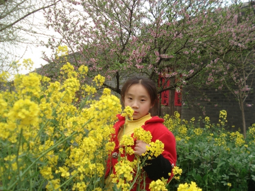 DSC0138888.jpg