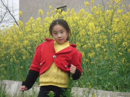 DSC0139000.jpg