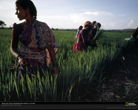 untouchable-women-plant-rice-732963-xl.jpg