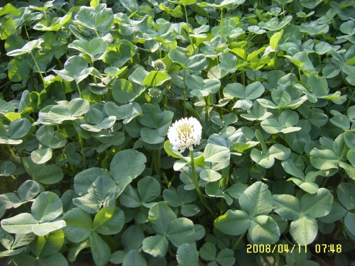 SUC50074.JPG