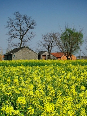 DSCF7271.jpg