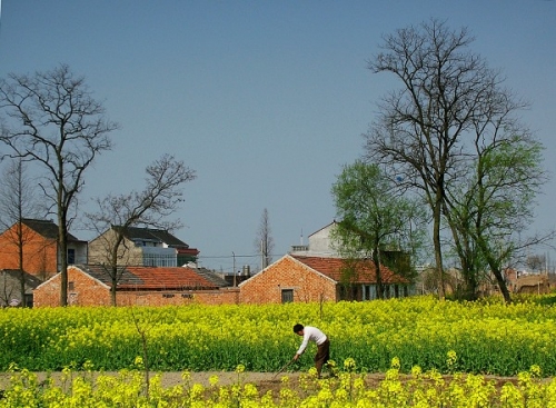 DSCF7278.jpg