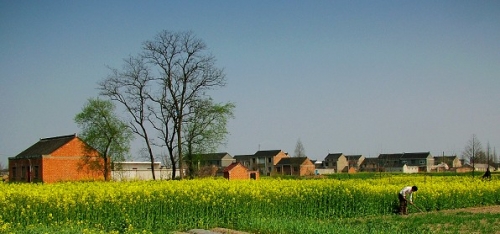 DSCF7279.jpg