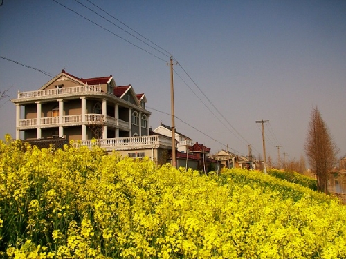 DSCF7222.jpg