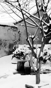 DSCF9275.JPG