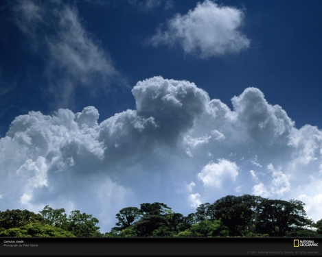 cumulus-clouds-blue-sky-764422-xl.jpg