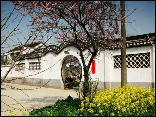 DSCF7393.jpg