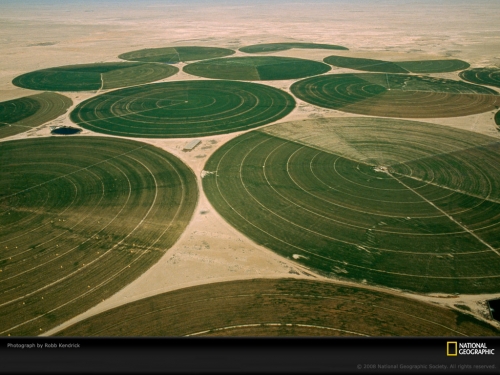 irrigated-fields-kendrick-731194-lw.jpg