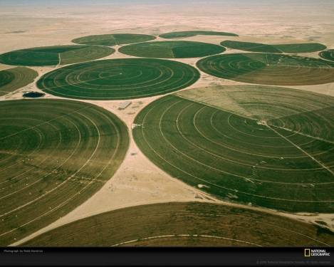 irrigated-fields-kendrick-731194-xl.jpg