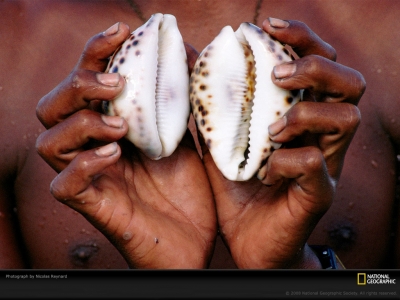 cowrie-shells-reynard-965210-lw.jpg