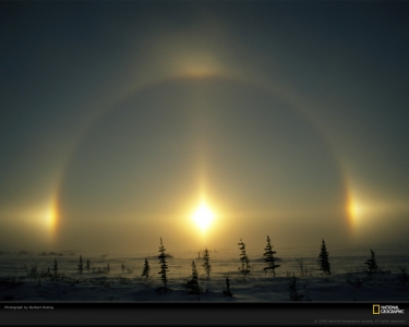 polar-phenomena-rosing-749109-xl.jpg