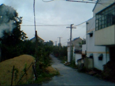 �ű���֧·2.jpg