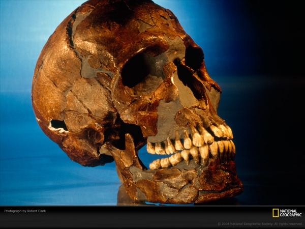 prehistoric-skull-clark-690736-lw.jpg