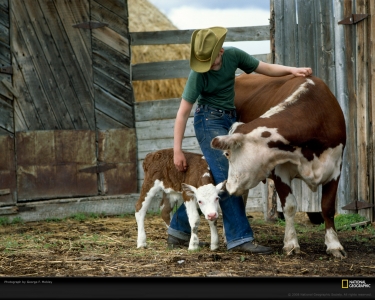 young-rancher-mobley-1032619-xl.jpg