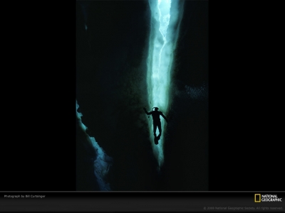 diver-silhouetted-curtsinger-409219-lw.jpg