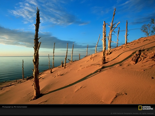 dunes-schermeister-389976-lw.jpg