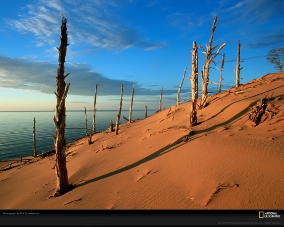 dunes-schermeister-389976-xl.jpg