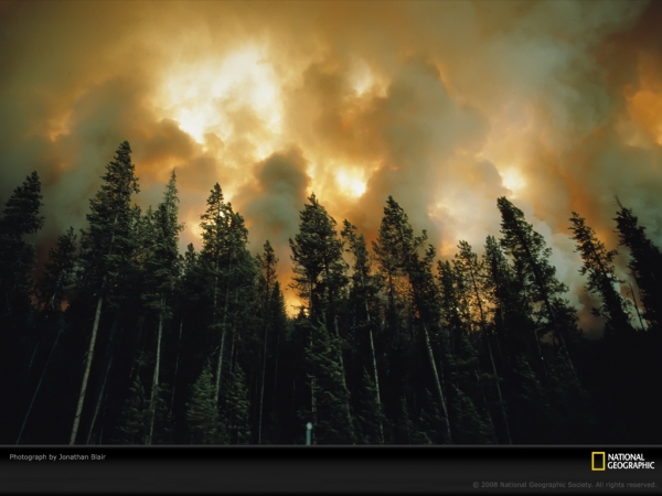 pines-fire-blair-444449-lw.jpg