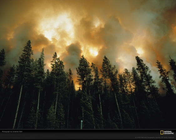 pines-fire-blair-444449-xl.jpg