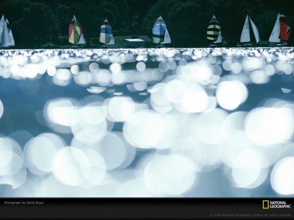 boat-race-boyer-694282-lw.jpg