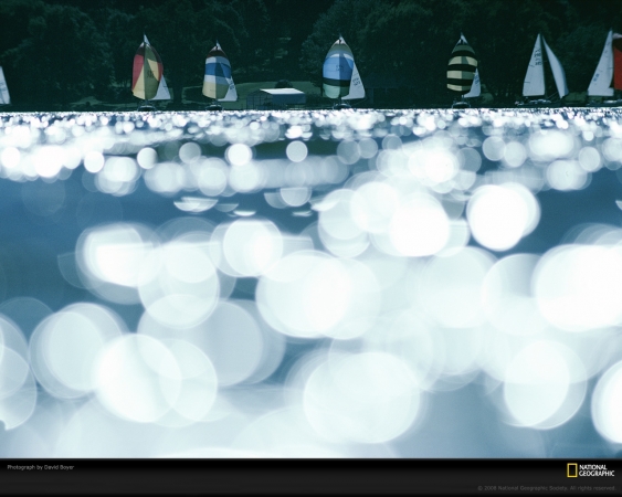 boat-race-boyer-694282-xl.jpg
