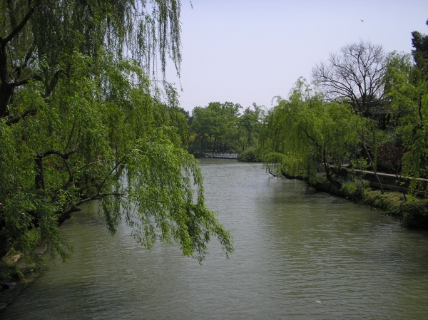 P1010028.JPG