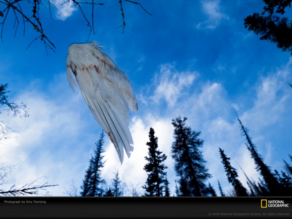 20080903_1ed7c7c9c076db89a461H3L6GelbqcRa.jpg
