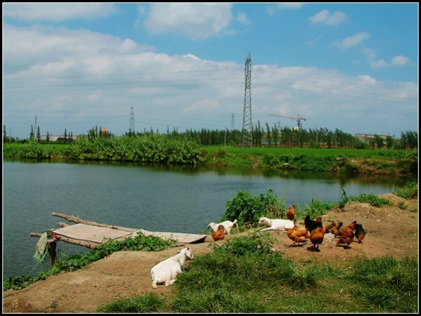 DSCF0945.JPG