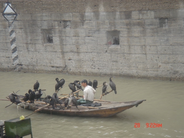 DSC00261-1.jpg