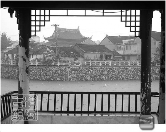 DSCF9411.JPG
