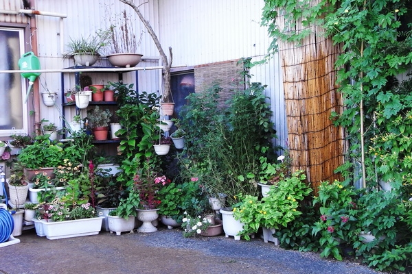 20080807_804076a0d9a5d0e4c7e1AT0VVJhJpd14.jpg
