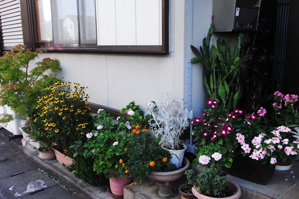 20080807_34313029c3a60601ef8dyidlPBGguB2f.jpg