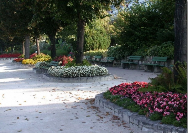 2691247.jpg