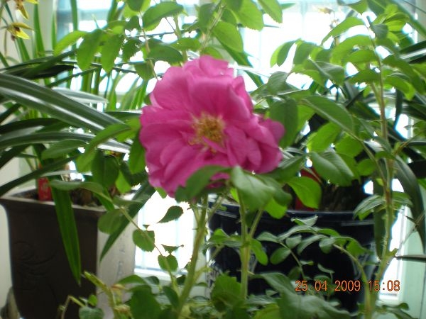 Ƭ 058.jpg