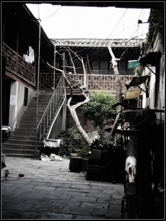 01.jpg