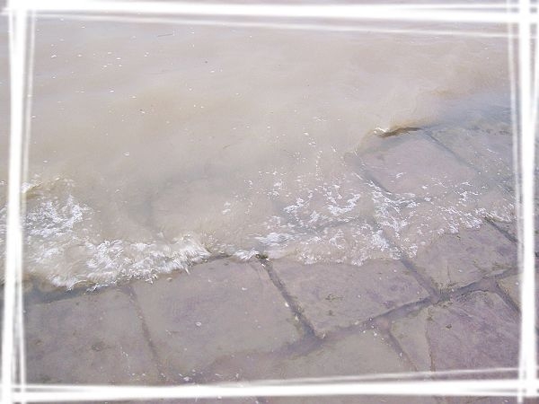 100_8056.jpg