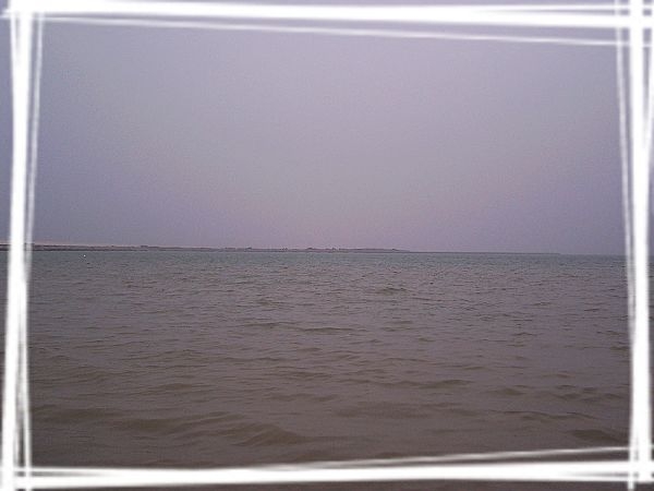 100_8050.jpg