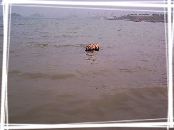 100_8051.jpg