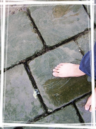 100_8057.jpg