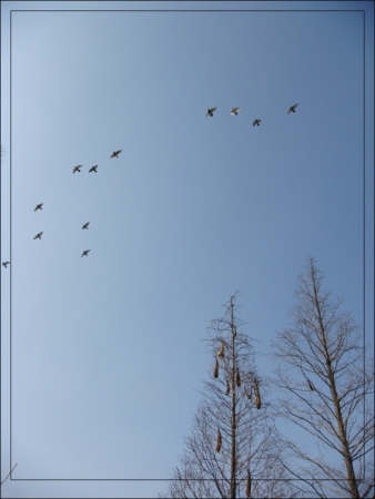 DSC03294.JPG