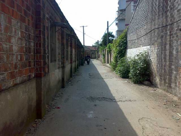 20090912063-С.jpg