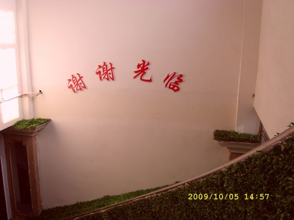 SL270955.JPG