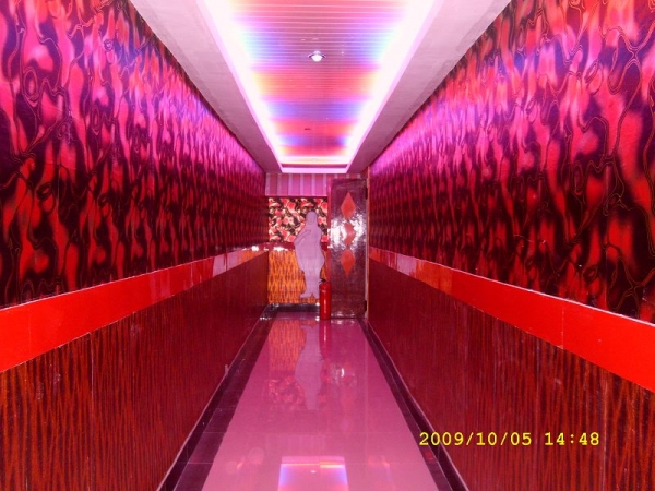 SL270942.JPG