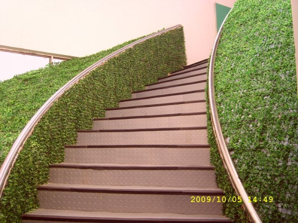 SL270943.JPG