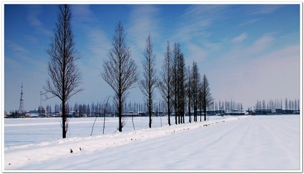 DSCF6660.jpg