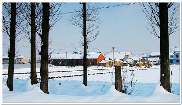 DSCF6687.jpg