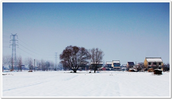DSCF6786.jpg