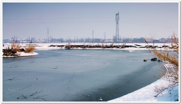 DSCF6724.jpg