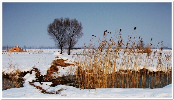 DSCF6813.jpg